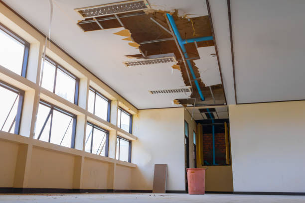 Best Fire Damage Restoration  in Kenedy, TX
