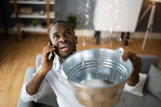 Best Water damage contractors near me  in Kenedy, TX