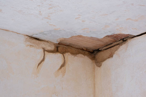Best Flooded house restoration  in Kenedy, TX