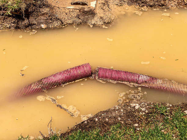 Best Basement water damage restoration  in Kenedy, TX
