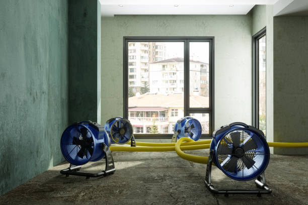 Best Water damage restoration near me  in Kenedy, TX